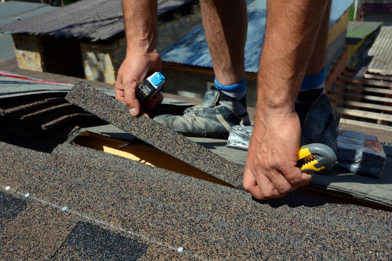 Professional Roof Repair